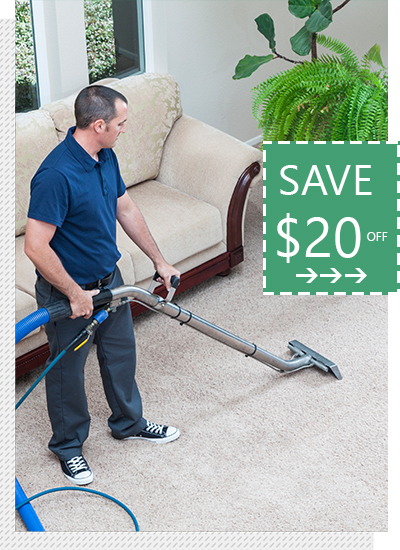 carpet steam cleaning